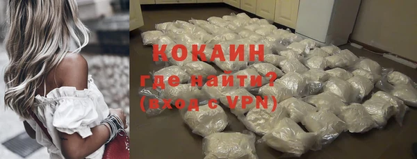 крисы Богородицк