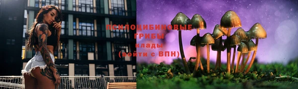 эйфоретик Богородск