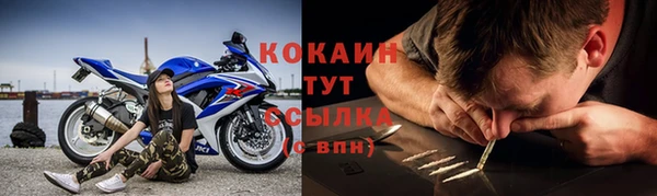 крисы Богородицк