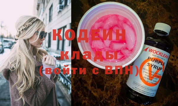 крисы Богородицк