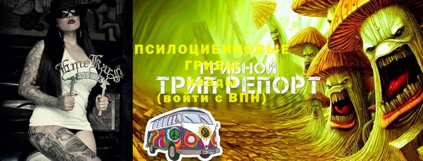 эйфоретик Богородск