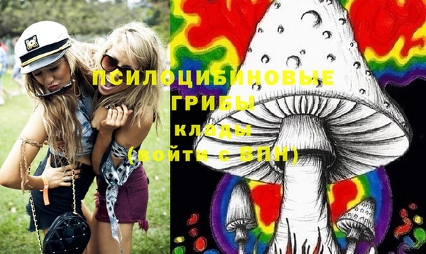 крисы Богородицк