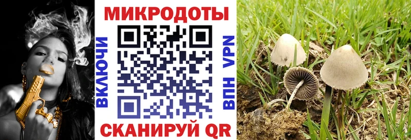 Галлюциногенные грибы Cubensis  Купить закладки  Суздаль 